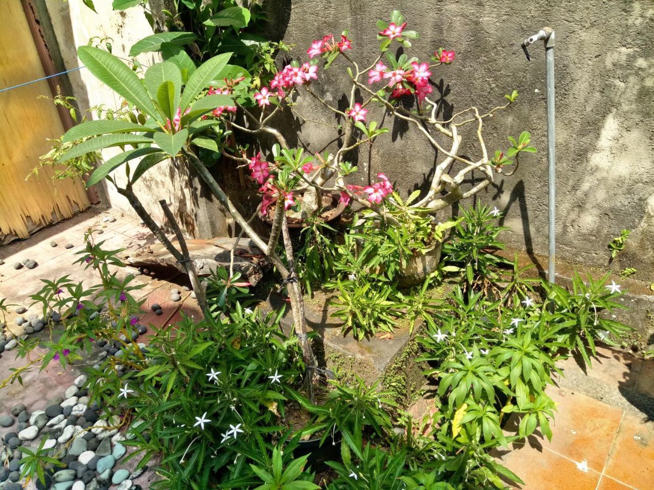 Suandi House Bed & Breakfast Ubud  Luaran gambar